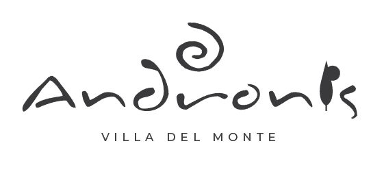 Andronis Logo