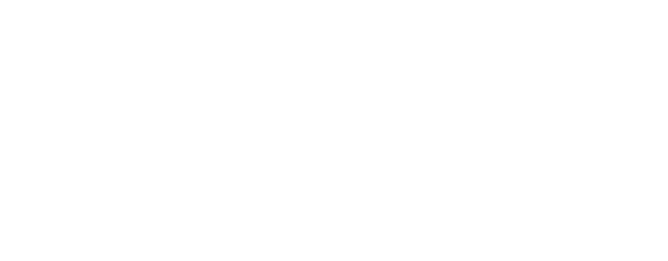 Andronis Logo